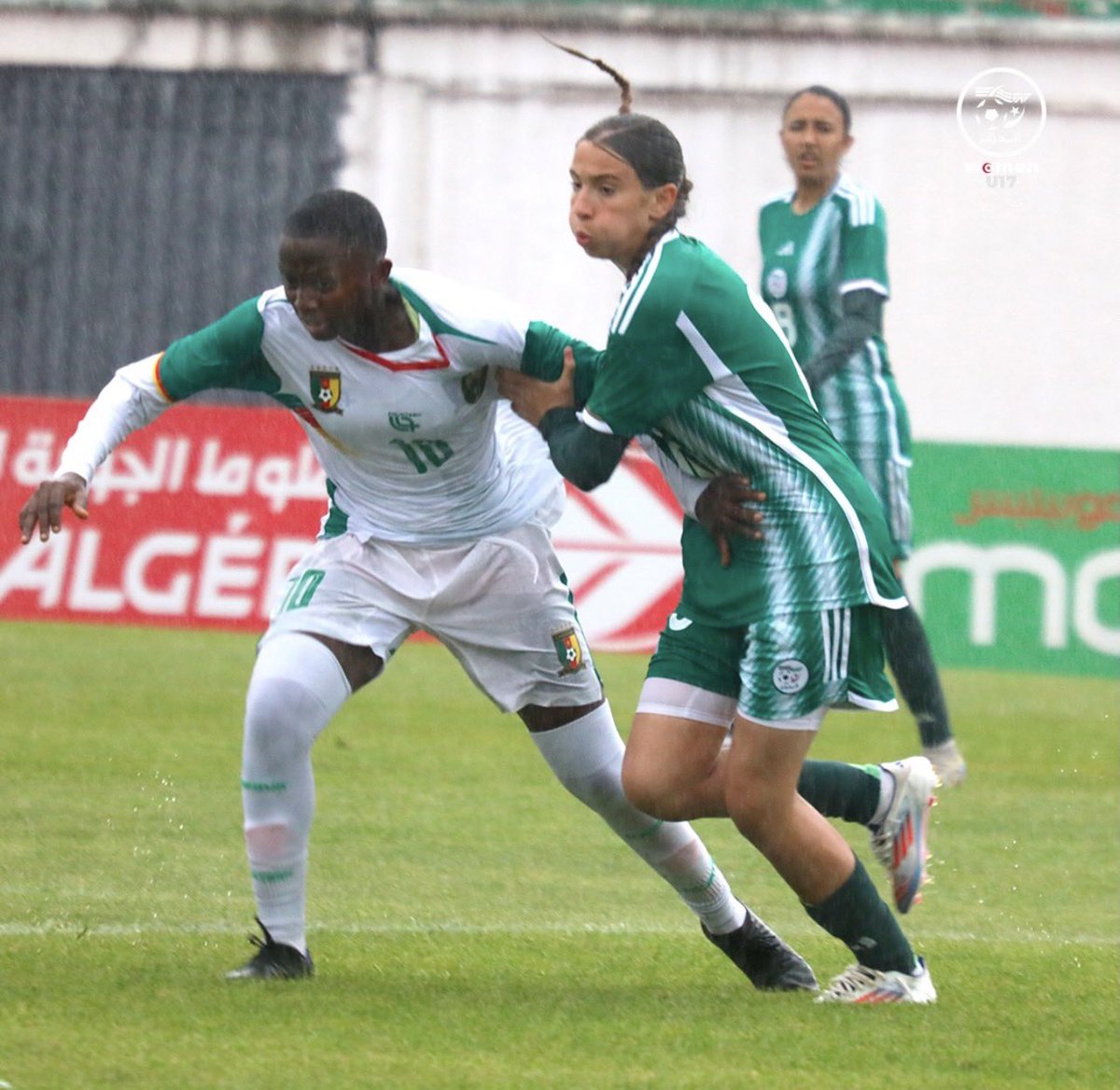 AllezLesLions tweet media