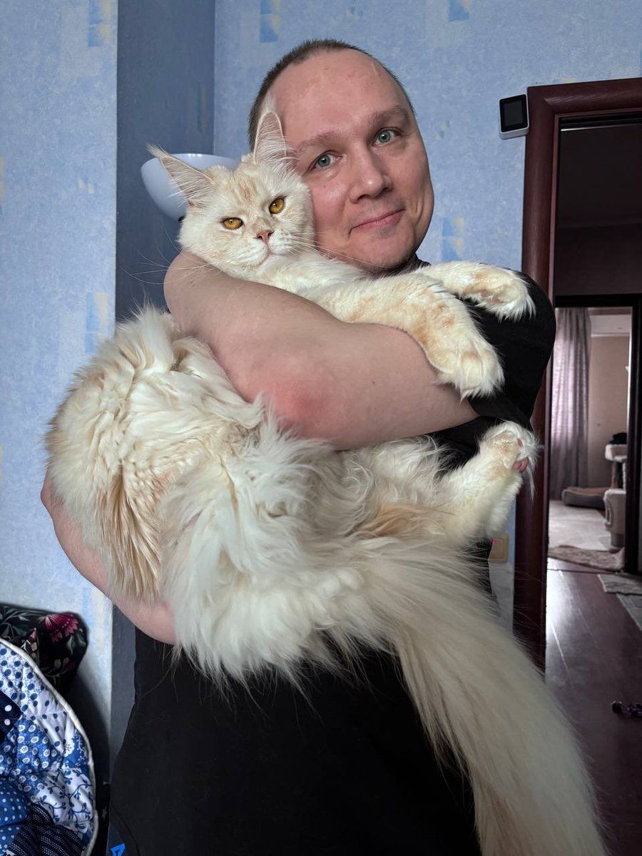 amatol.blog tweet media