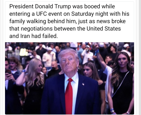 Brown Eyed Susan tweet media