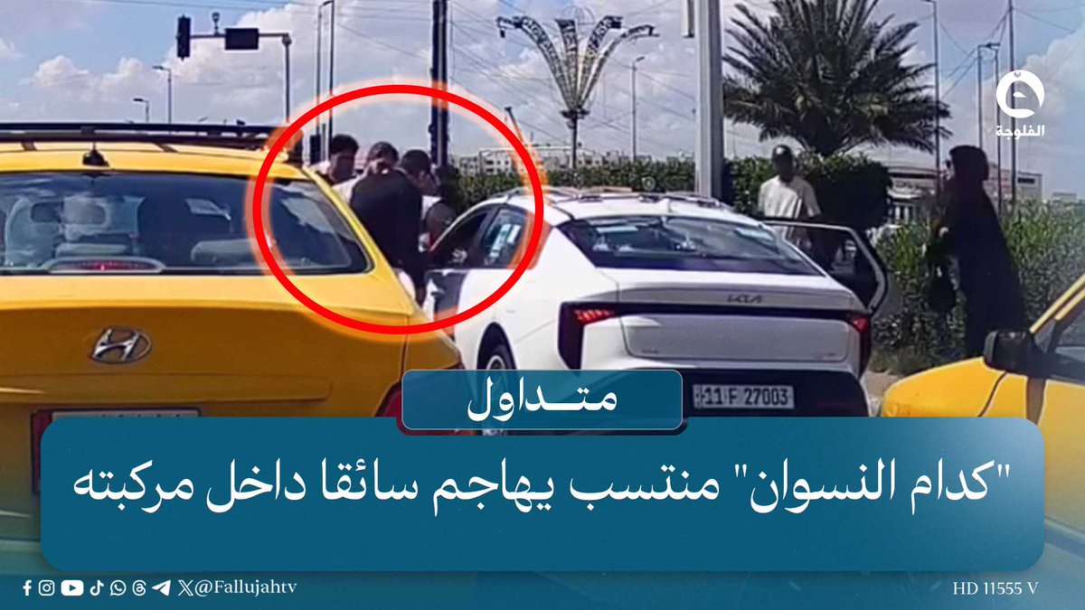 "صارت دك بوكسات" منتسب يهاجم سائقا داخل مركبته ويثير ذعر "النسوان" #متداول 