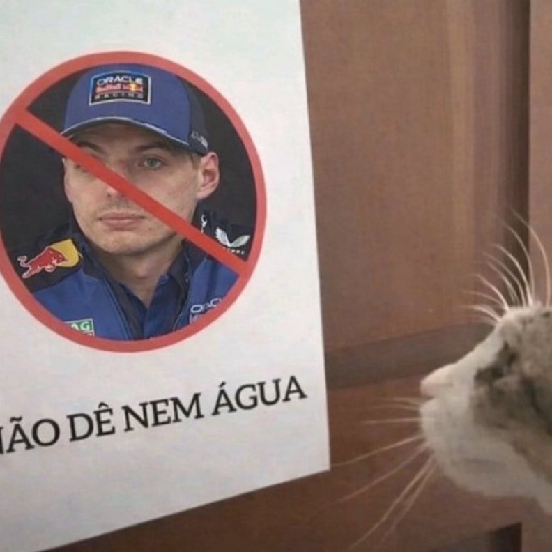 anne 🫧 | VAI VER O SKZ tweet media