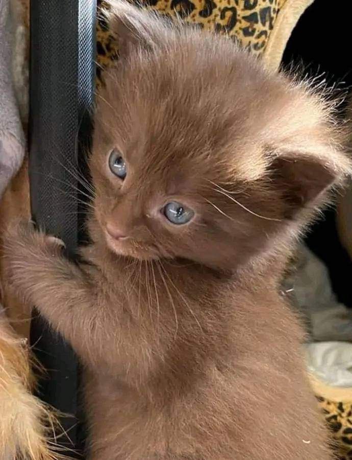 Jörg Rainer tweet media