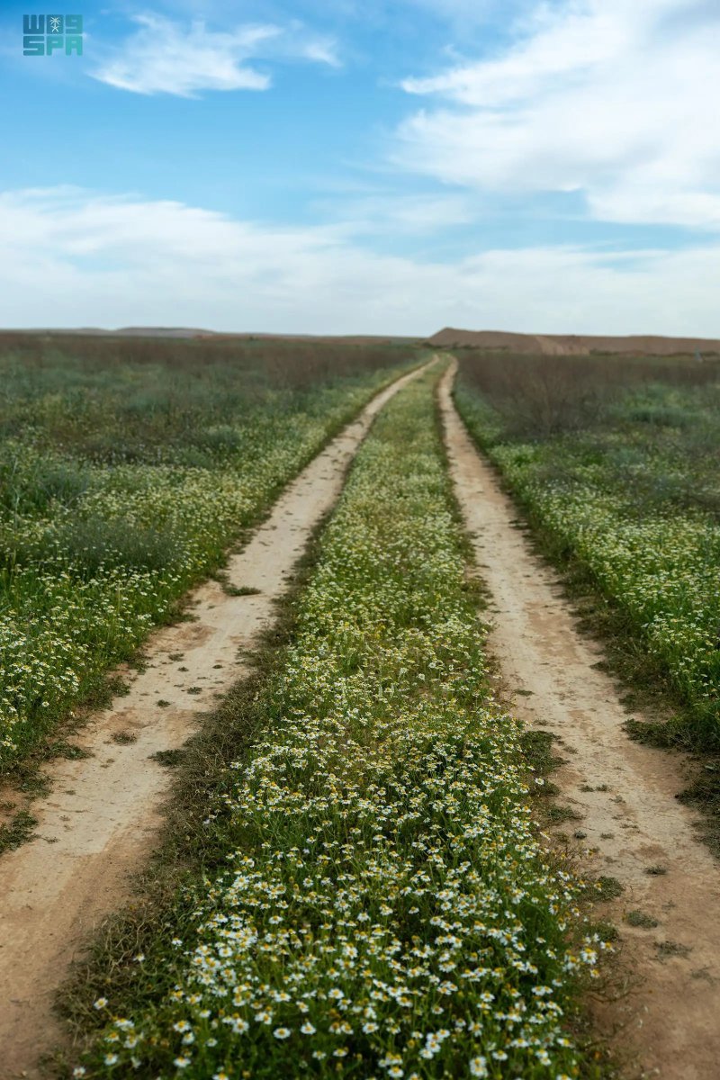 واس جودة الحياة tweet media