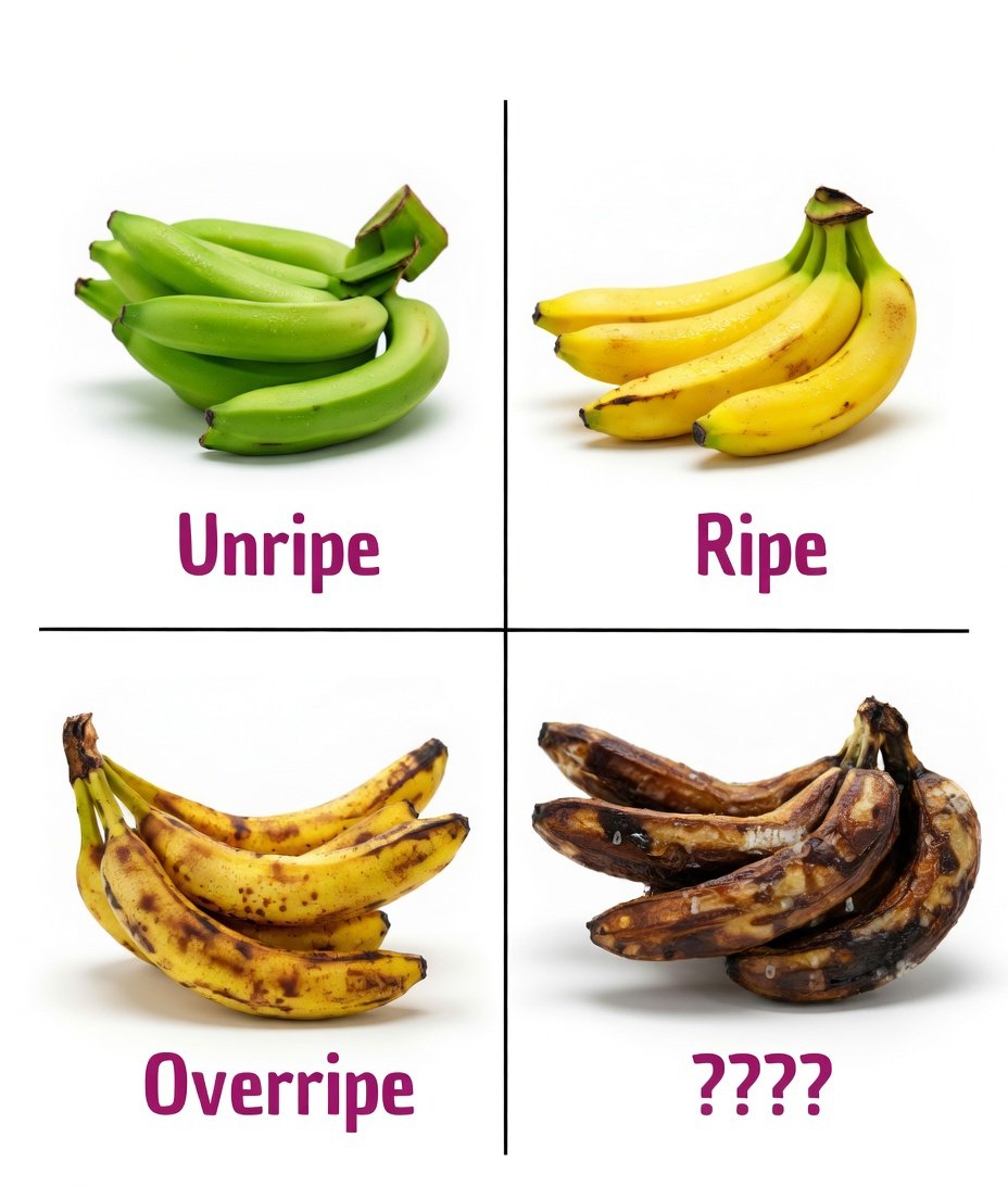 Kenny Nation tweet media