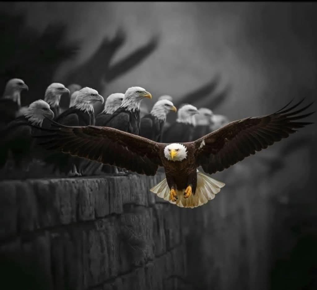 VAN MUTOKA tweet media