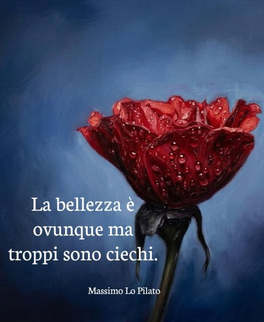 Babbaribba tweet media