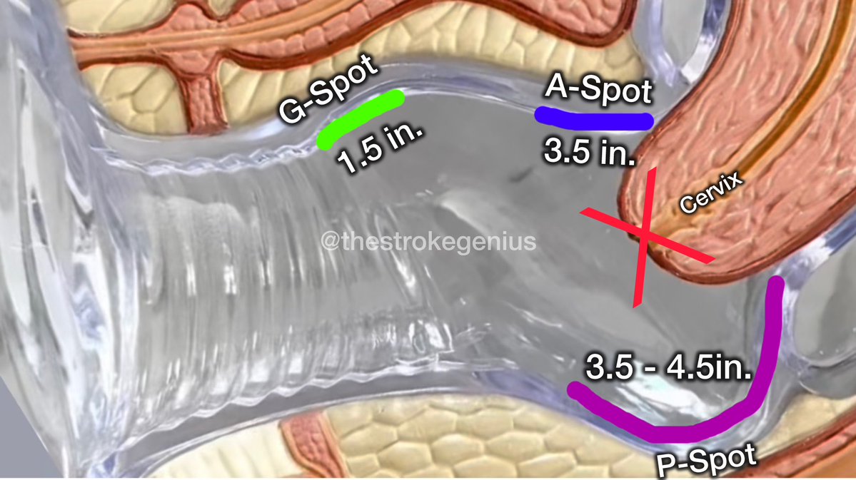 Hunit Days of Summer tweet media