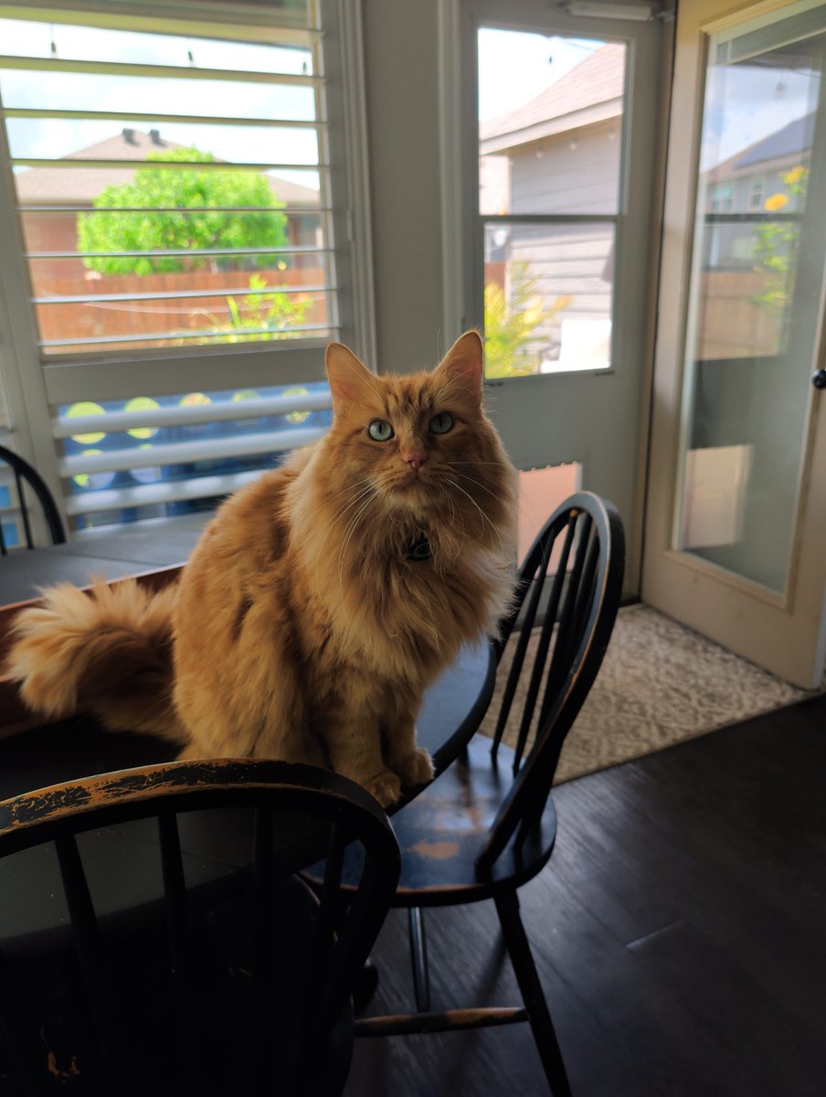 cryptofyre tweet media