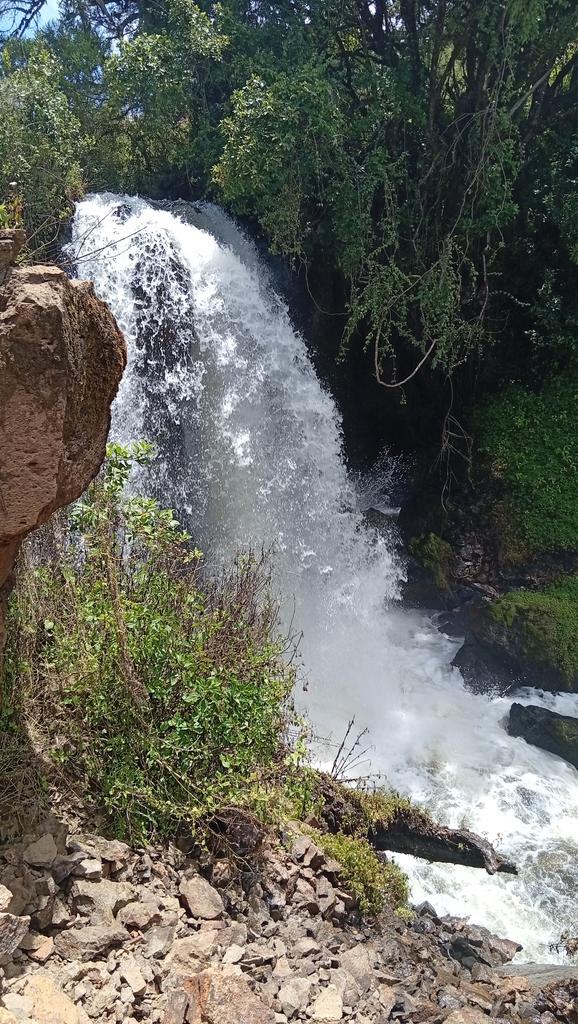 Kogei kelvin tweet media