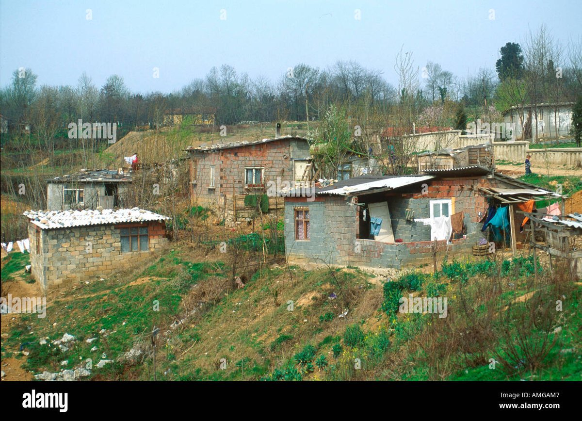 Balina Avcısı tweet media