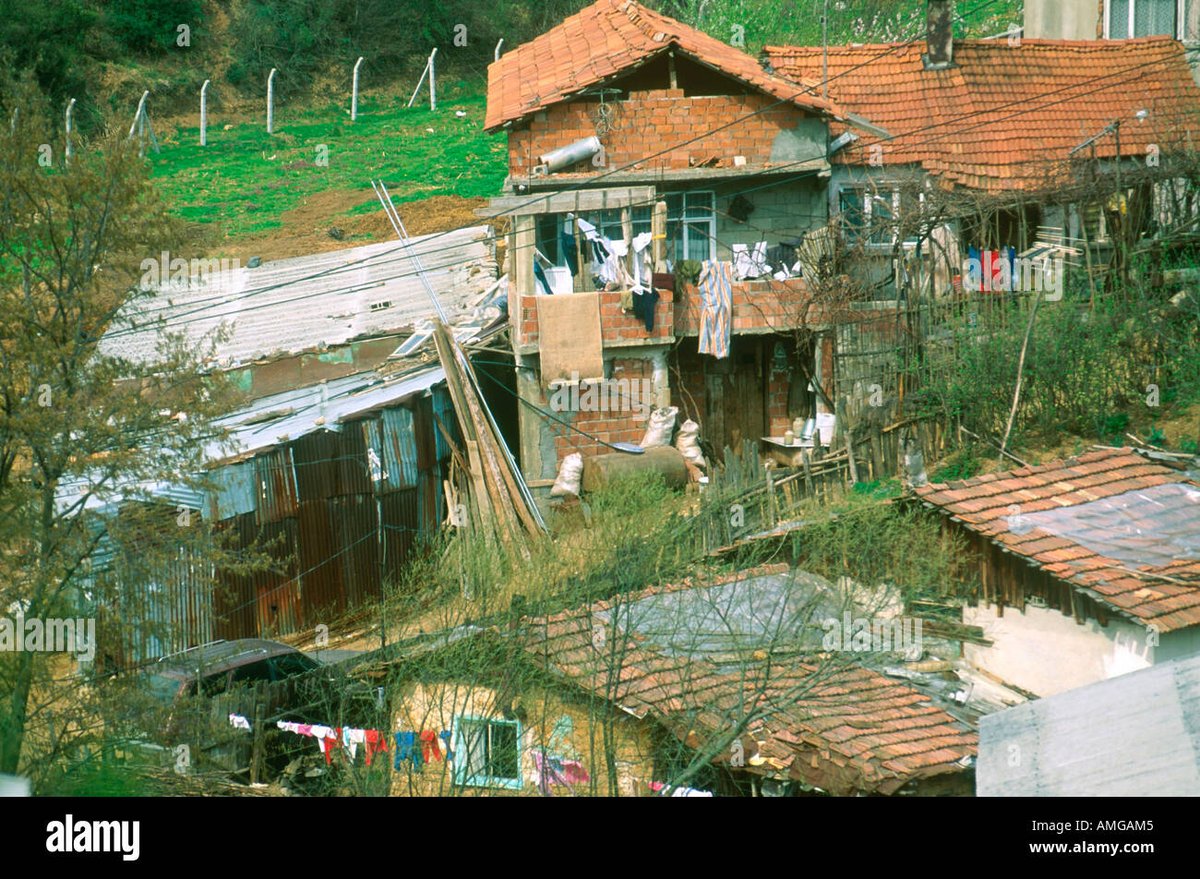 Balina Avcısı tweet media