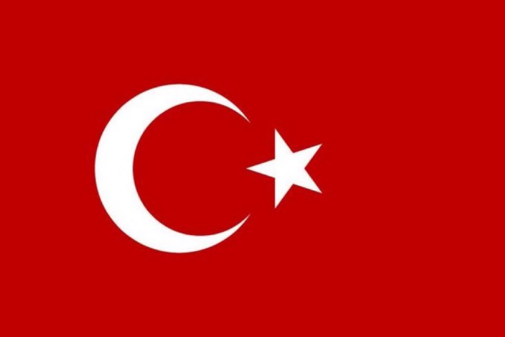 Gökçe Katun tweet media