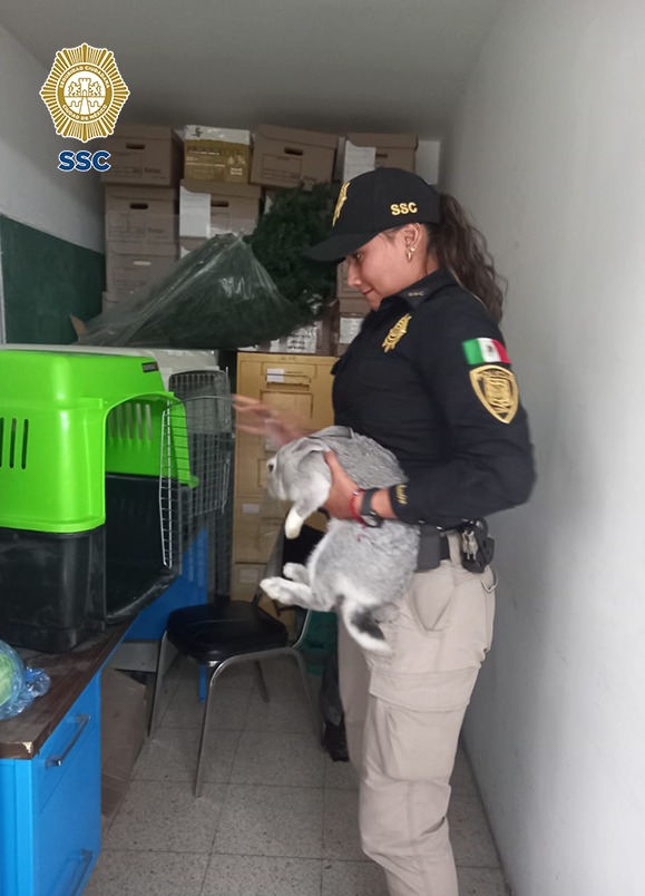 SSC CDMX tweet media