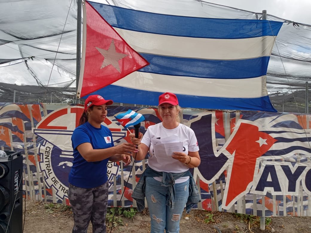 Odalis Batista tweet media