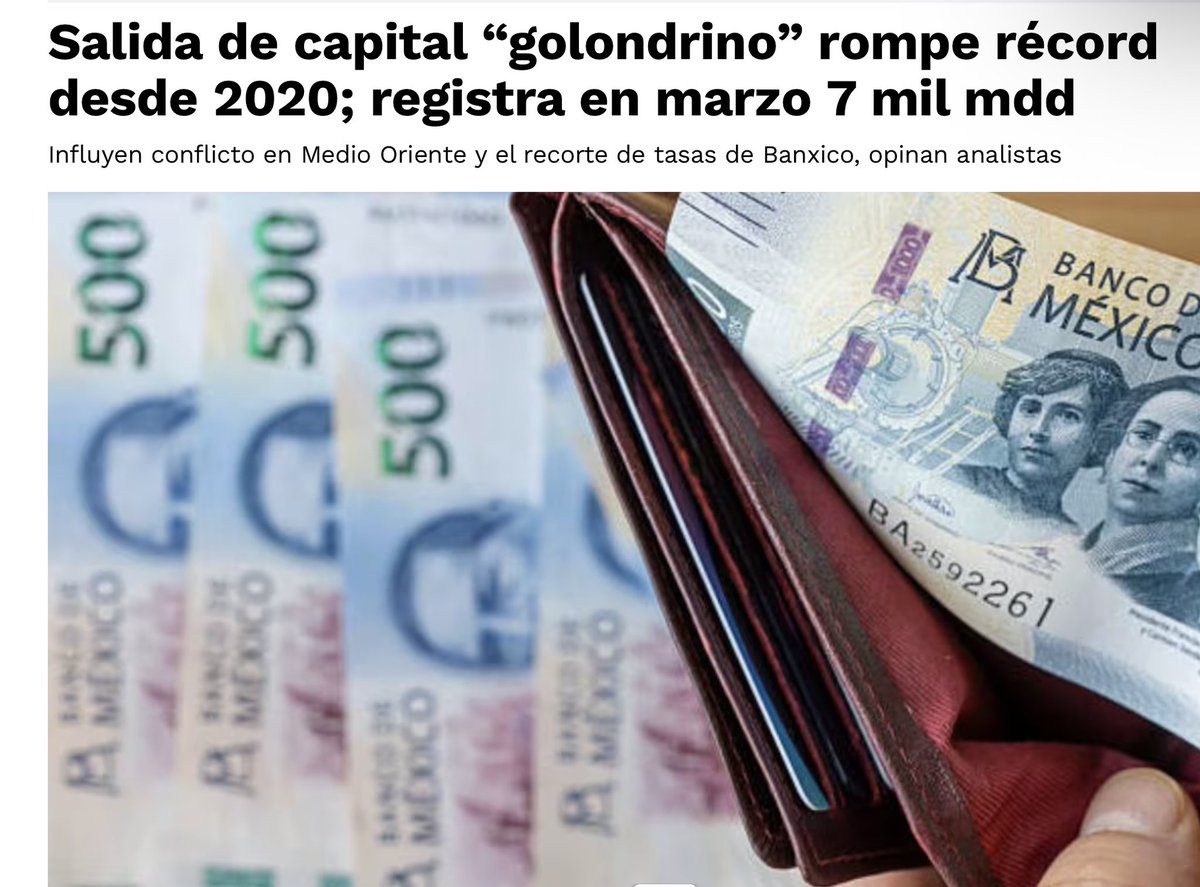 José Mario tweet media