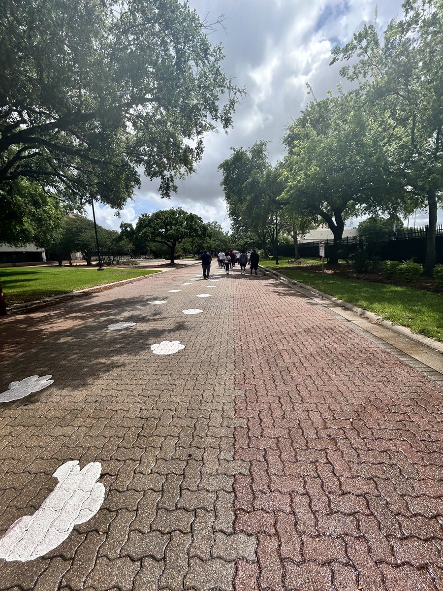 Cameron Brown tweet media