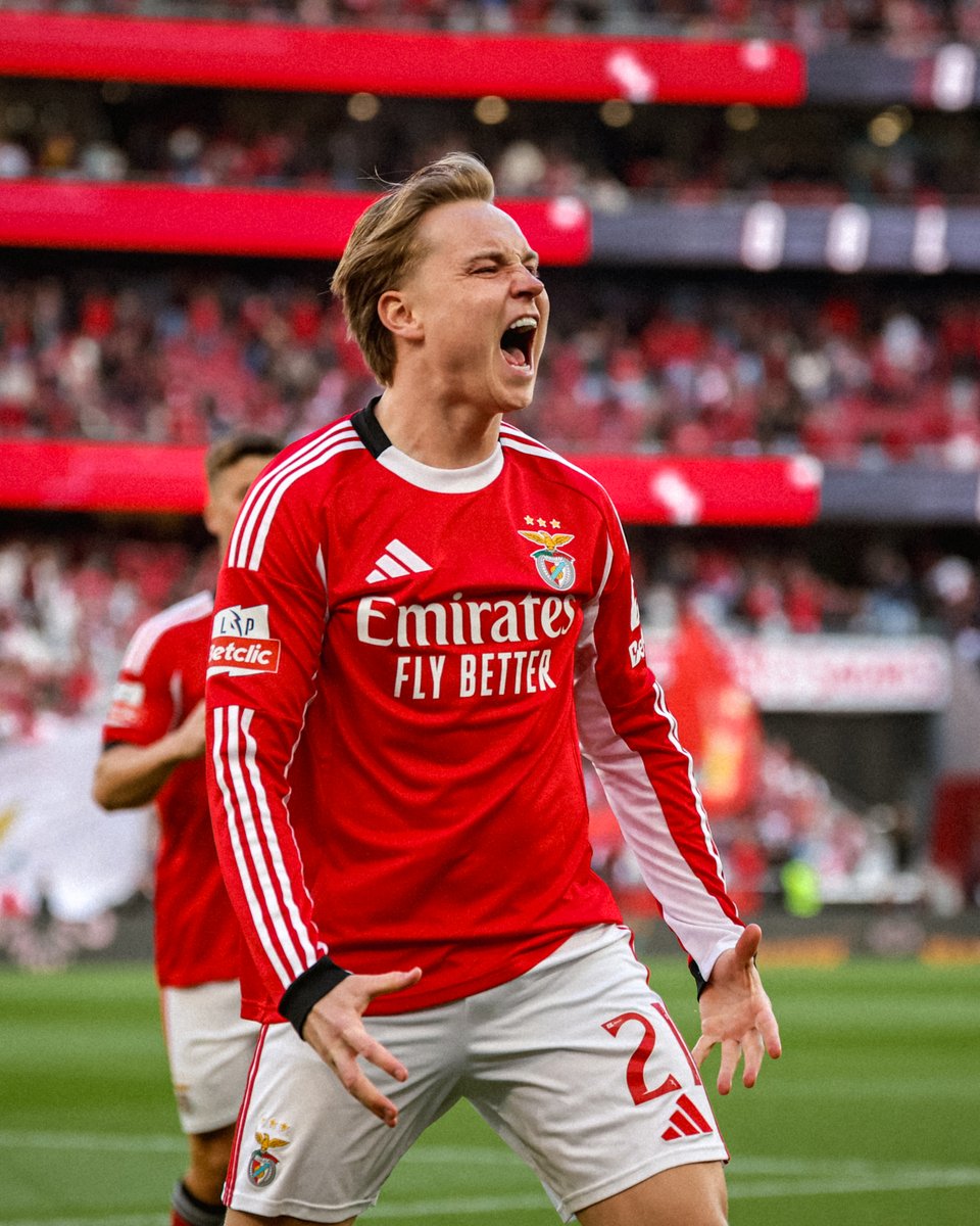 SL Benfica tweet media