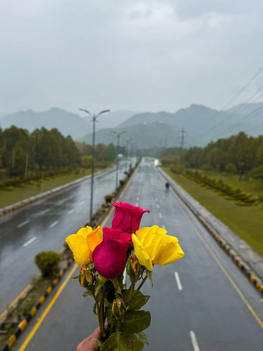 RegwalGul's tweet photo. غرونه، باران او دا رنګین ګلان؛ داسې ښکاري لکه کائنات چې نن ستا په ژبه خبرې راسره کوي!
#برسات
#عشق https://t.co/rvg7ntlGgT