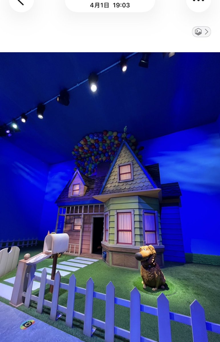 ひまわり🌻 tweet media