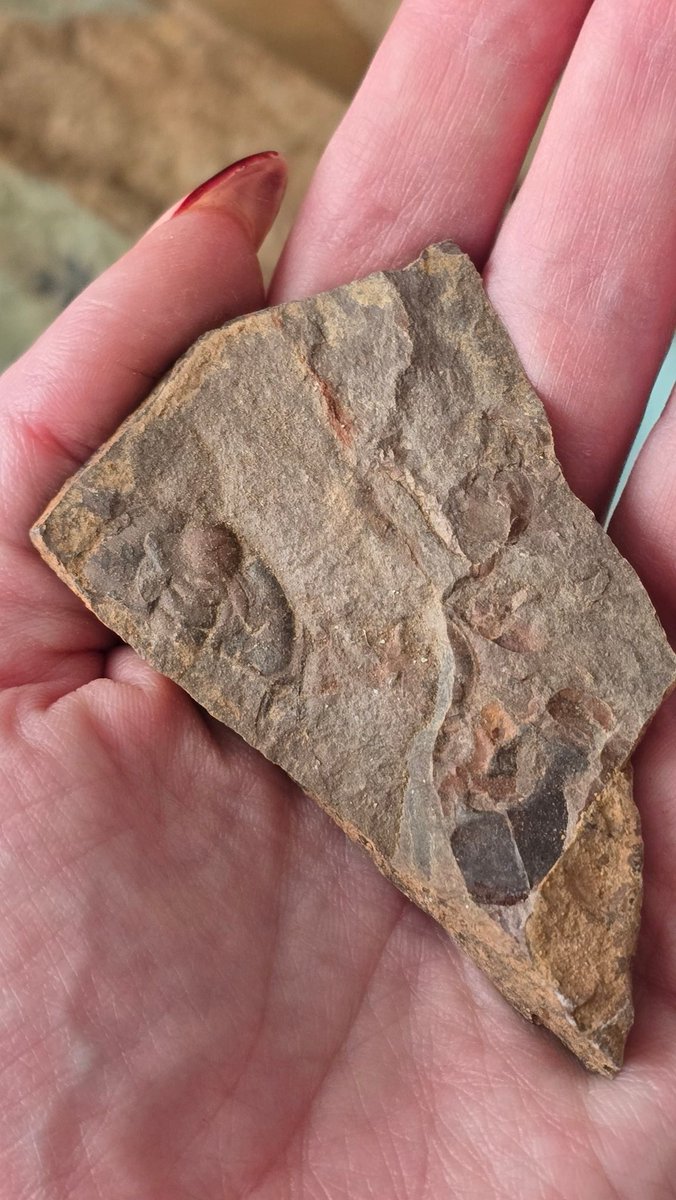 Erin 'Rapornzel' Everheart tweet media