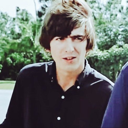 George Harrison (Parody) tweet media