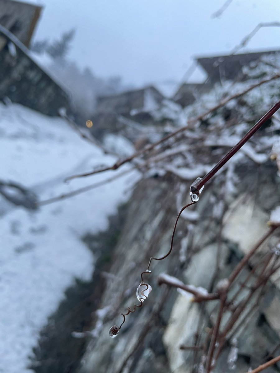 Не май месяц корч