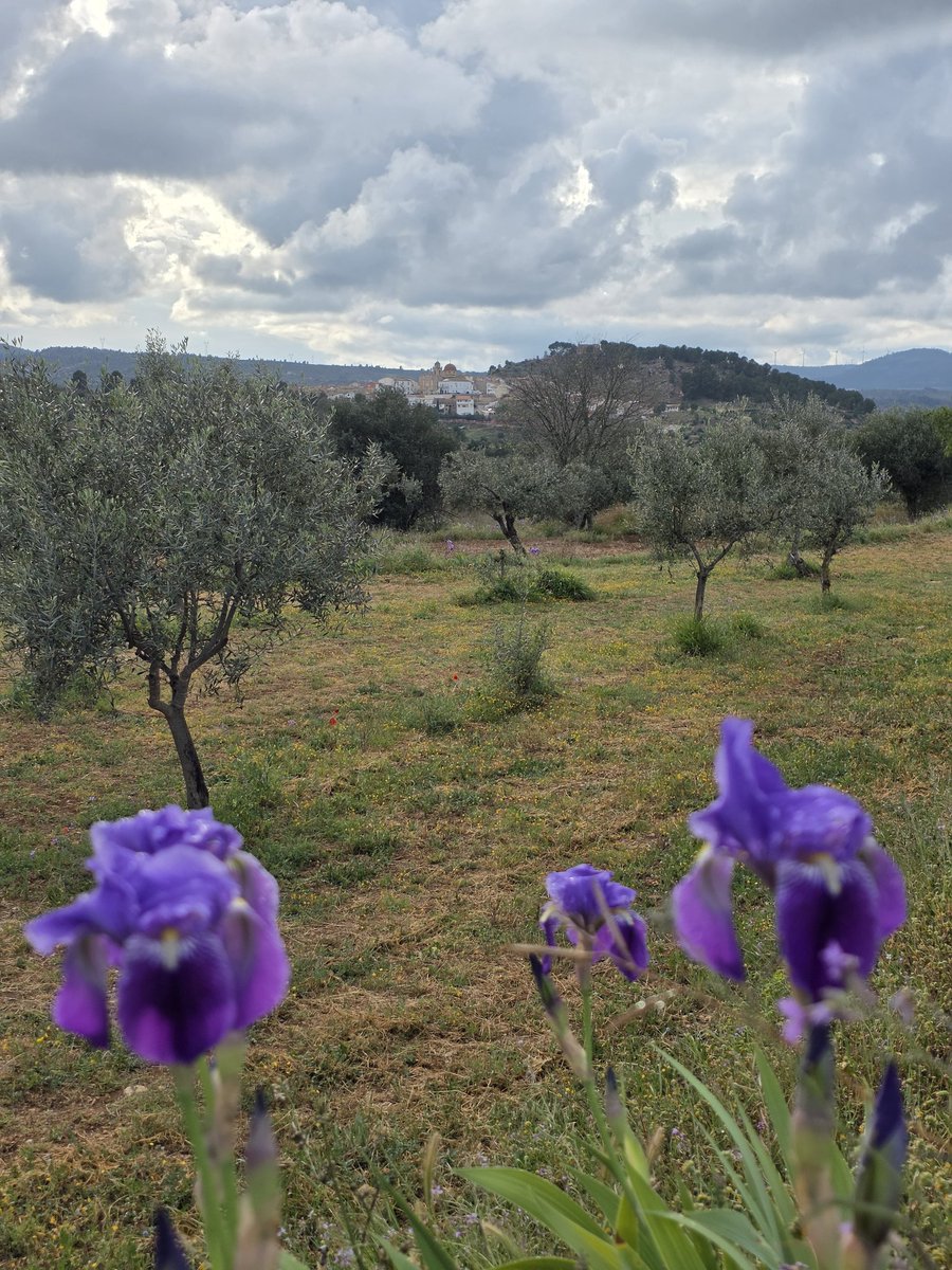 Rafa 🇪🇸 ✝️ tweet media