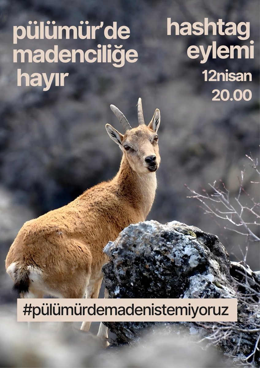 NurayAtmaca15's tweet photo. #PülümürdeMadeneHayır
PülümürdeMadenistemiyoruz https://t.co/ZYkFd6oPKs