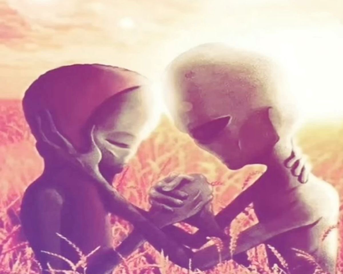 غـزال tweet media