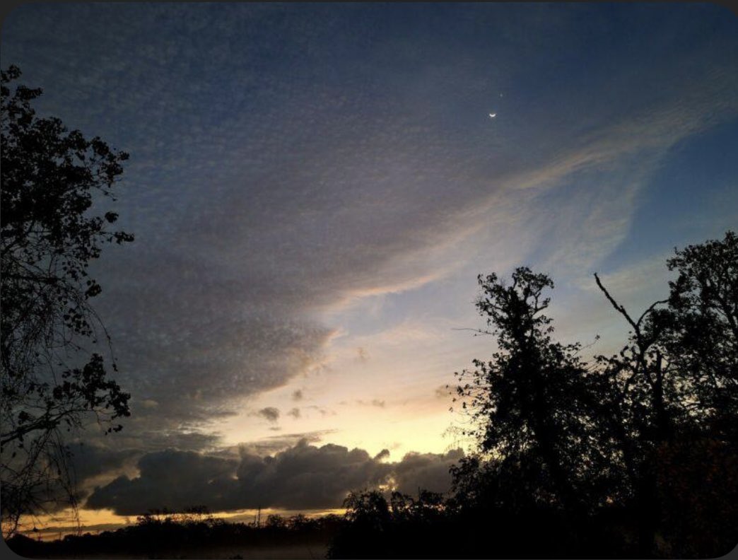 Spray Zee tweet media