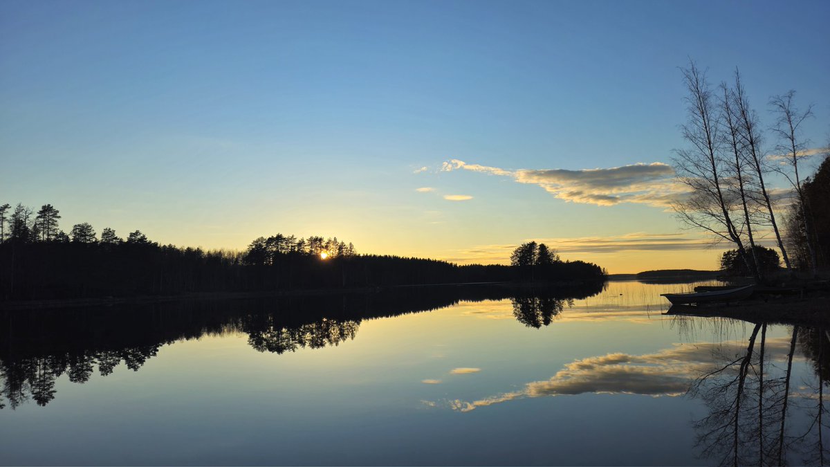 Ava ×͜× tweet media