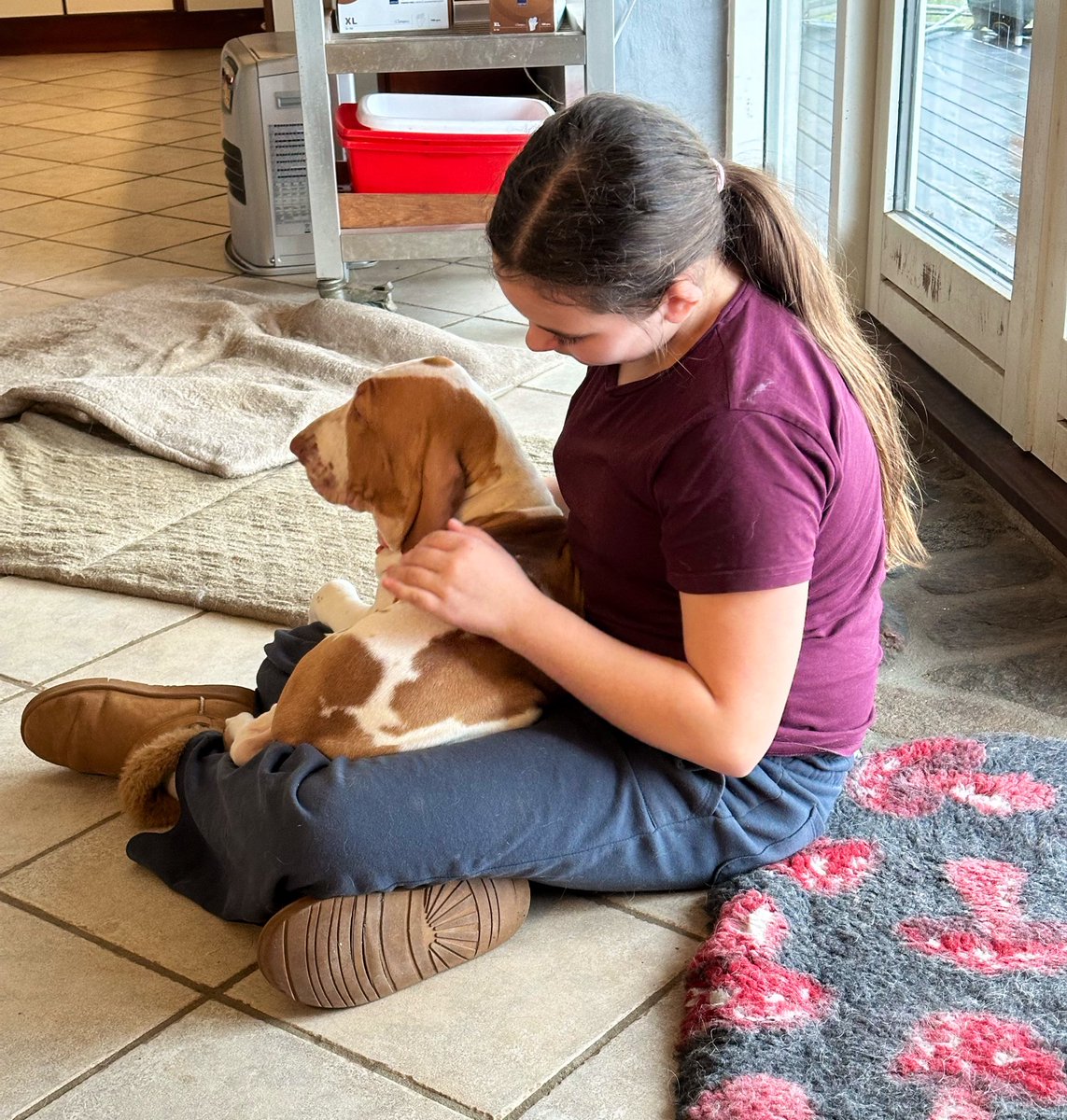 Natborg's tweet photo. Datteren har brugt weekenden på at rejse til Norge med sin morfar for at hente deres nye, fælles hundehvalp. Kærligheden er gensidig 🥰 https://t.co/WjKGpPhk9I