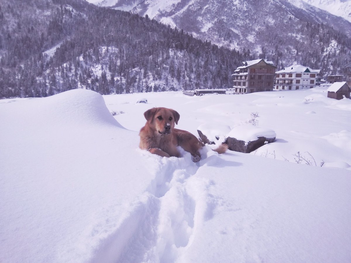 Cloud Shutterfly tweet media