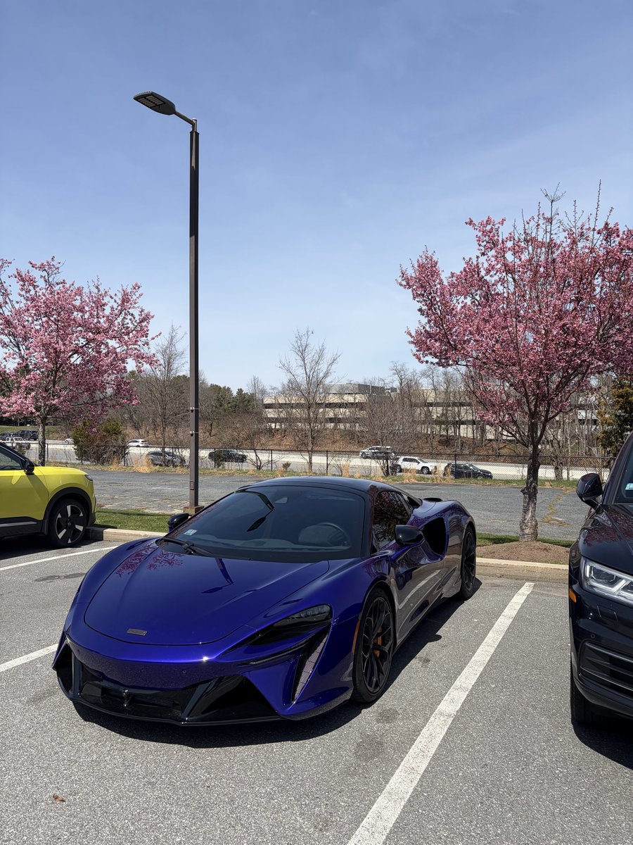 Sway Lay tweet media