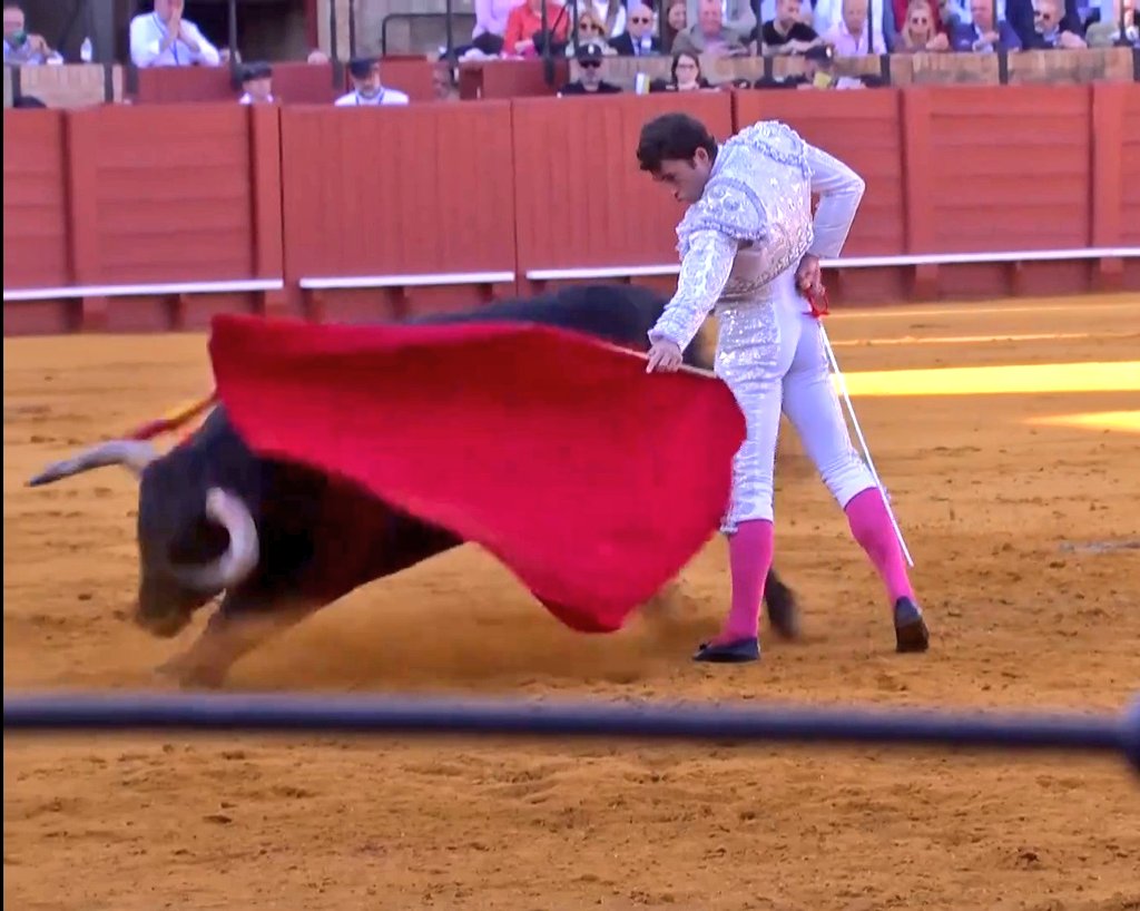 Seisyelsobrero tweet media