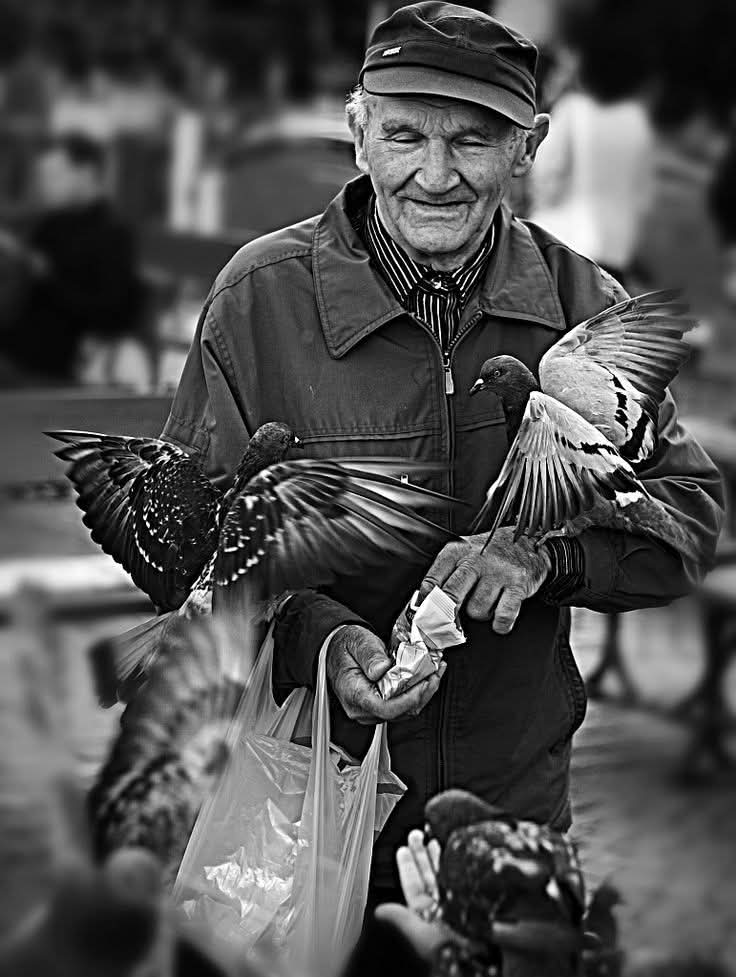 كريم النوايا لا ينتظر عوضاً على ما يمنح، فهو يعطي لأن العطاء طبيعته، ولأن الخير يسكن قلبه، يعطي الجميل ثم يمضي وكأن شيئا لم يكن.. 🖤🥀