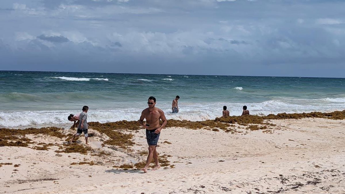 SECTUR México tweet media