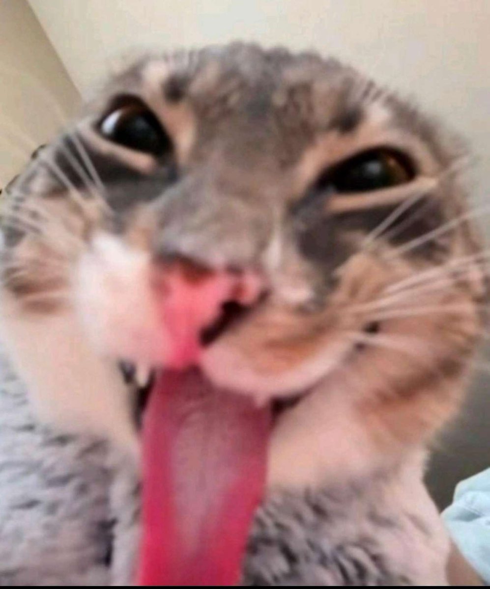 brookie 𝜗𝜚⋆₊˚ tweet media