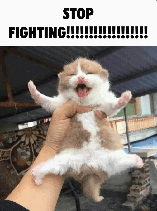 Meat Man tweet media