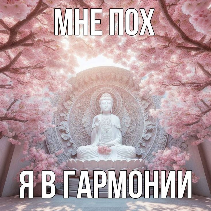 элин tweet media