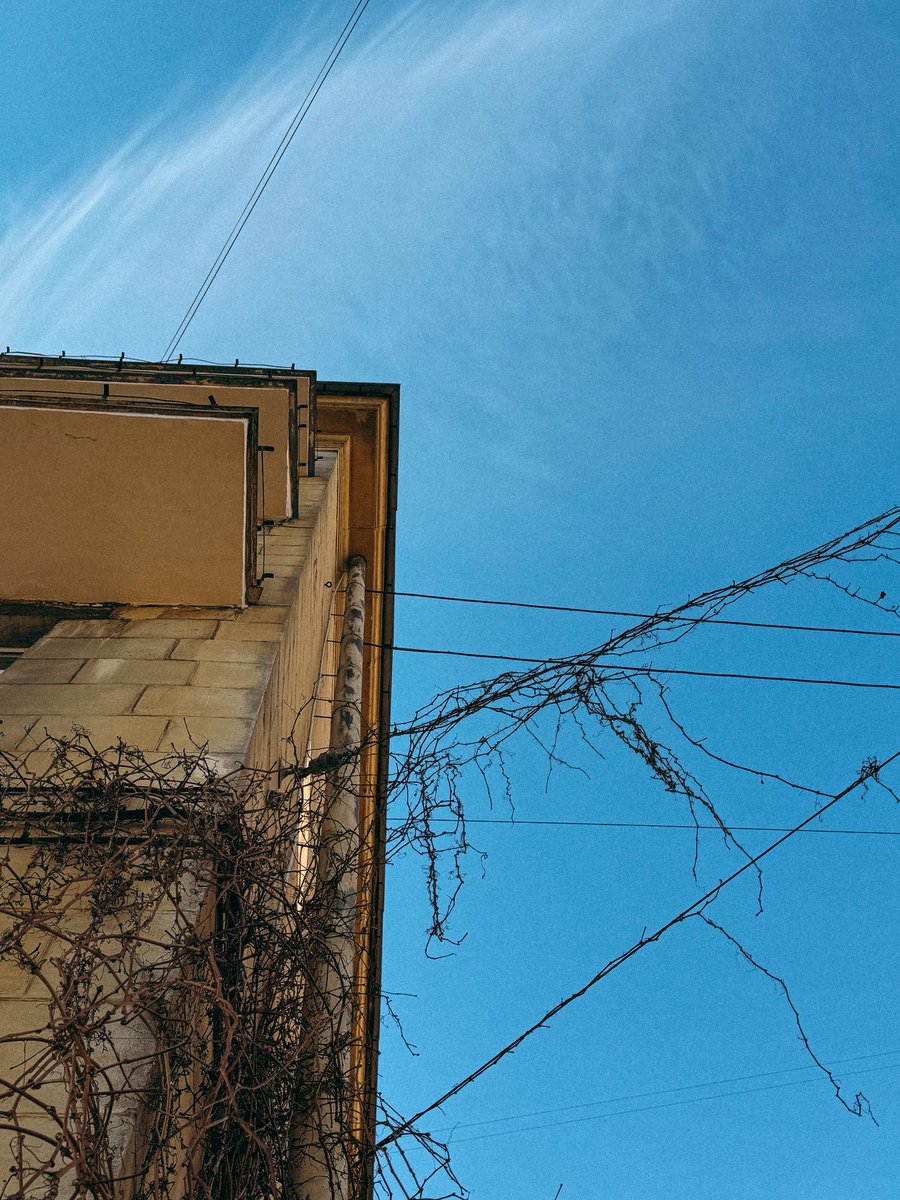 Arthur L. tweet media