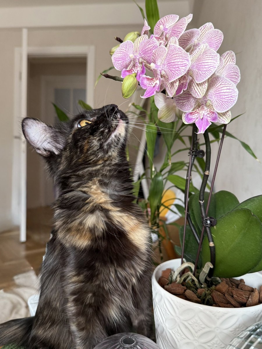 Всякое бывало tweet media