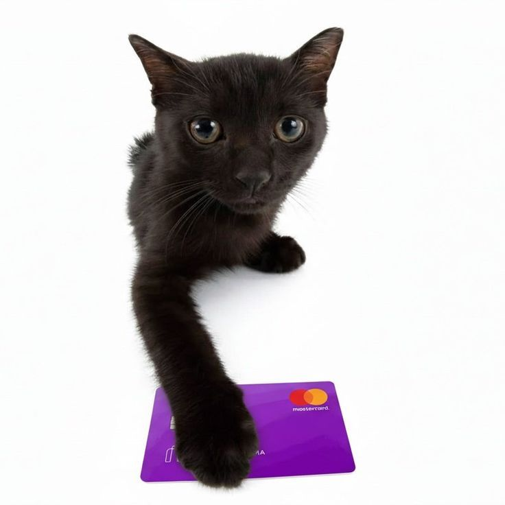 komy コミ tweet media