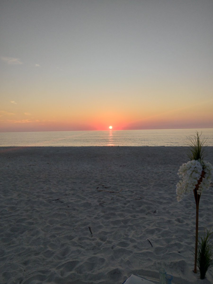 William sullivan tweet media