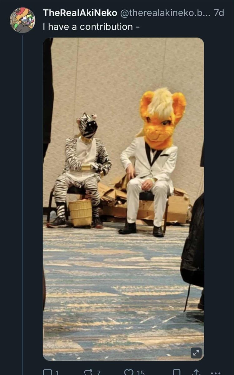 Fandont's tweet media