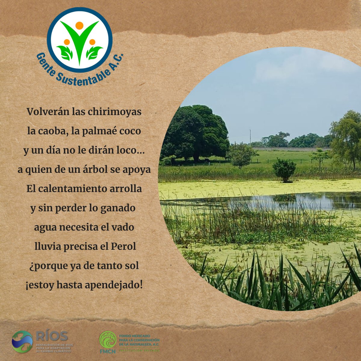 Gente Sustentable A.C. tweet media