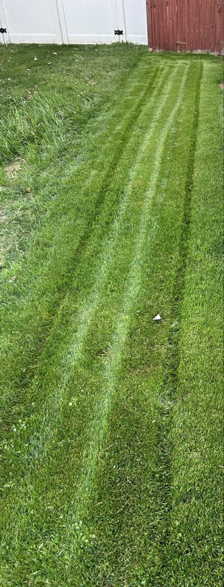 HalfBreedKing44's tweet photo. @TheEXECUTlONER_ Run a bagger. Second to highest setting on the mower. Can leave handprints in it if you wanted to. https://t.co/0FLIPKY4it