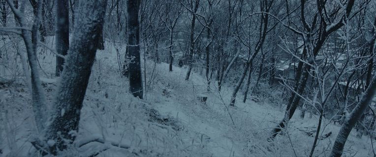 Cinema Joy tweet media