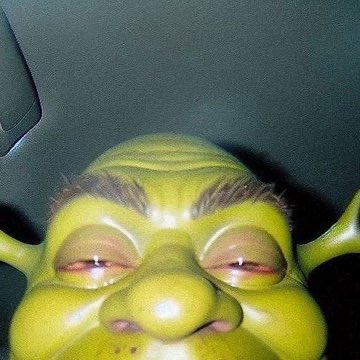 Famous 🧸 tweet media