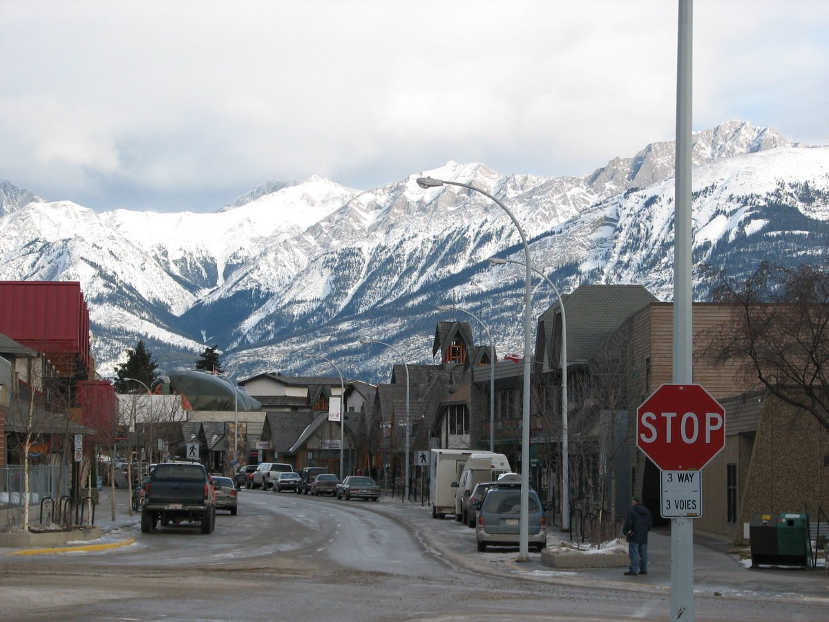 David L Matthie tweet media